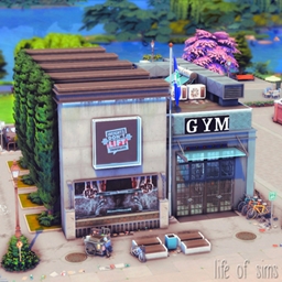 FitZone GYM