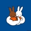 choops logo