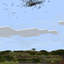 EnvironCraft logo