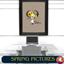 Spring Pictures logo