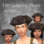 TSM Aarbyville Pirate Hat Model 2 logo