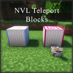 NVL's Teleport Blocks project image