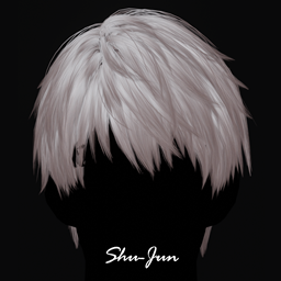 [shi]Xavier-hair logo