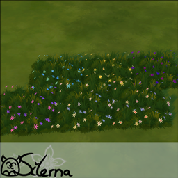 Lily of the Valley