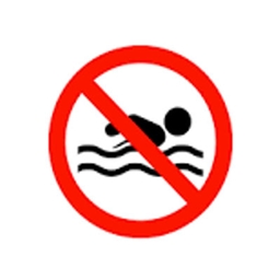 Custom 1912 swim team logo
