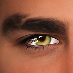 Reacher Eyes logo