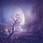 CherryMoonlight logo