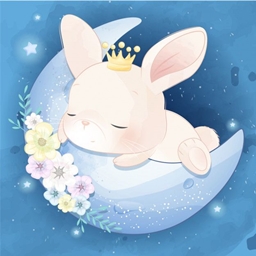 Solless Bunny Dream Craft project image