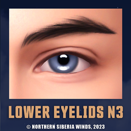Lower Eyelids №3
