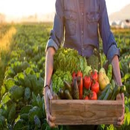 Agricultural Mechanics project image