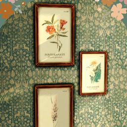 Vintage Botanica: Framed Flower Cards logo