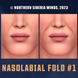 Nasolabial Fold №1