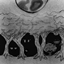 Die or survive logo