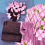 Splendous Sniffers logo