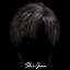 [shi]Zayne-hair logo