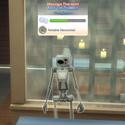 NPC Spa Day Careers logo