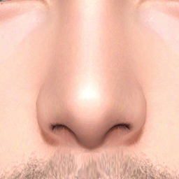 Nose Preset 46 HQ logo