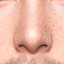 Freckles 34 HQ logo