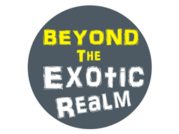 Beyond The Exotic Realm project image