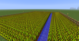 BetterFarm project avatar