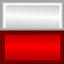 RED & CHROME PVP logo