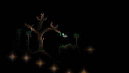 Hide and seek Forest
