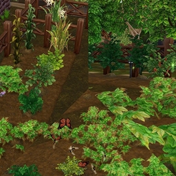 Top Harvests by BrazenLotus Spanish translation