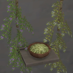 Dried thyme from BrazenLotus Spanish translation