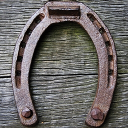 HorseCraft logo