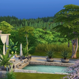 Traditional Japanese Home | No CC