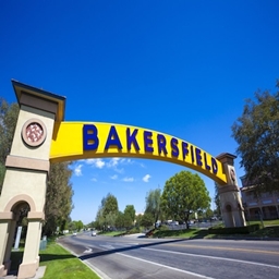 Bakersfield Craft project image