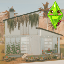 Oasis Paradise project image