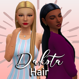 Dakota Hairstyle logo