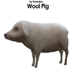 Wool Pigs by TheKalino Spanish translation