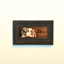 Animals- paintings. logo