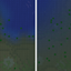 Better Biome Reblend logo