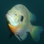 Fishfactory logo