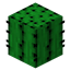 Cactus Colonies logo