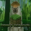 Monk's Medieval shenanigans logo