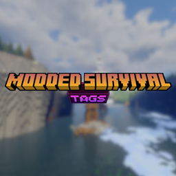 TAGS: Modded Survival project image