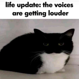 Apocalypse Moment