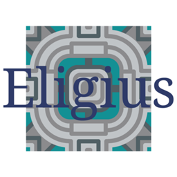 Eligius - End update project image