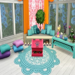 Pet Toy Boxes