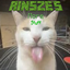 Rinsze's More Stuff logo