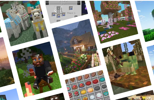collection banner image