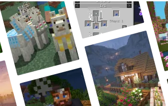 collection banner image